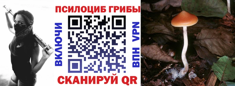купить   Среднеколымск  Галлюциногенные грибы прущие грибы 